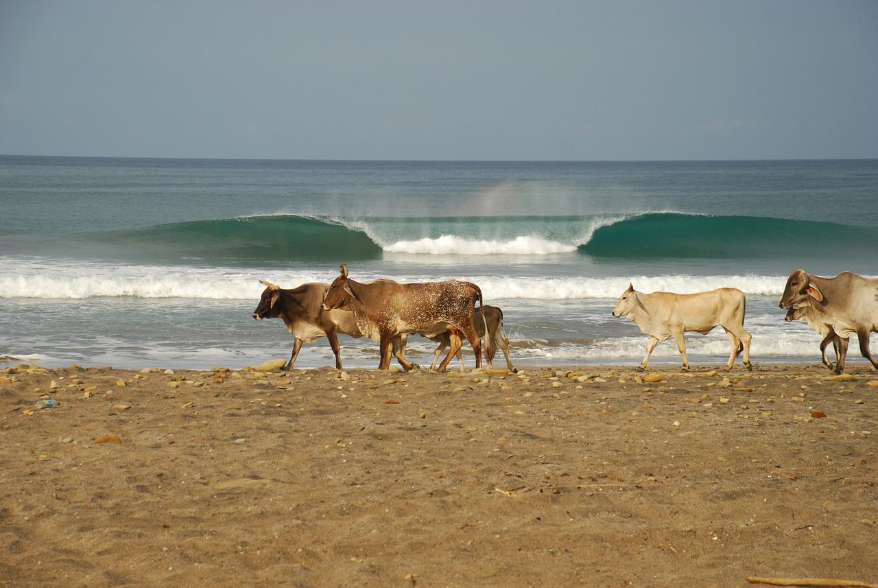 Surf Sanctuary Hotel El Limon Exterior photo