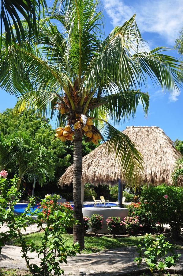 Surf Sanctuary Hotel El Limon Exterior photo